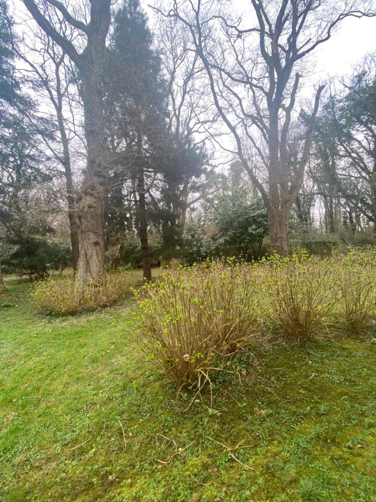 Bg32 - Mer & Bois De Cise Maison Individuelle Avec Grand Jardin О Экстерьер фото